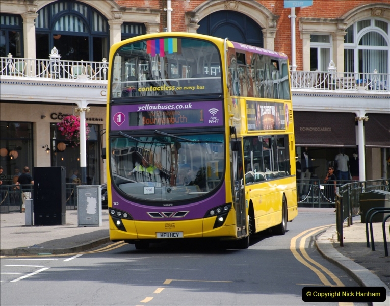 2019-07-11 More Yellow Buses. (41) 41