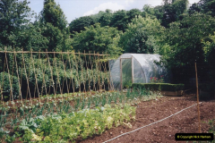 1999 June, Stamford - Burghley - Barnsdale. (80) Number 16 Allotment.080