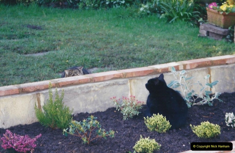 2001 Garden improvements at my Wifes cousins by your Host. Garden designed by my Wife's cousin.  (50) Anothe cat looking over the wall.50