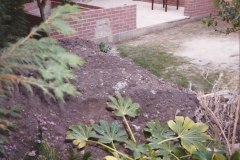 April 1990 Your Host alters the back garden. (24)24