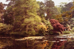 1982 Exbury Gardens. (12) Hampshire. 008199008