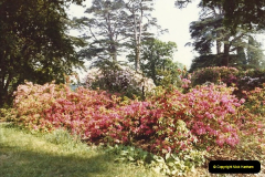 1982 Exbury Gardens. (8) Hampshire. 004195004