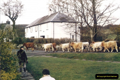 1987 Dartmoor, Devon. (4) 537346