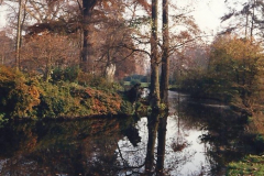 1988 Bushey Park, near Teddington, Middlesex. (2) 723437