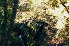 1988 Lydford Gorge, Devon.  (31)657471