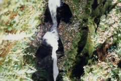 1988 Lydford Gorge, Devon.  (34)660474