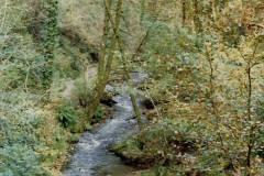 1988 Lydford Gorge, Devon.  (38)663477