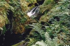 1992 Miscellaneous. (311) Lydford Gorge (NT) Devon. 0313