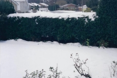 1994 Miscellaneous. (533) Snow in Poole, Dorset. 0437
