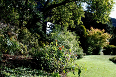 2019-09-17 Kilver Court Gardens, Shepton Mallet, Somerset. (63) 134