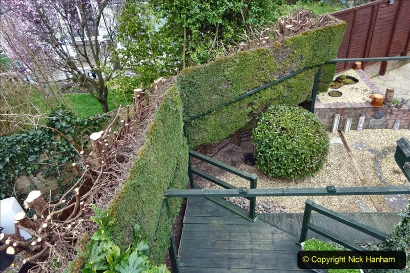 2021-03-01 Lowering hedge. Garden makeover. (48) 048