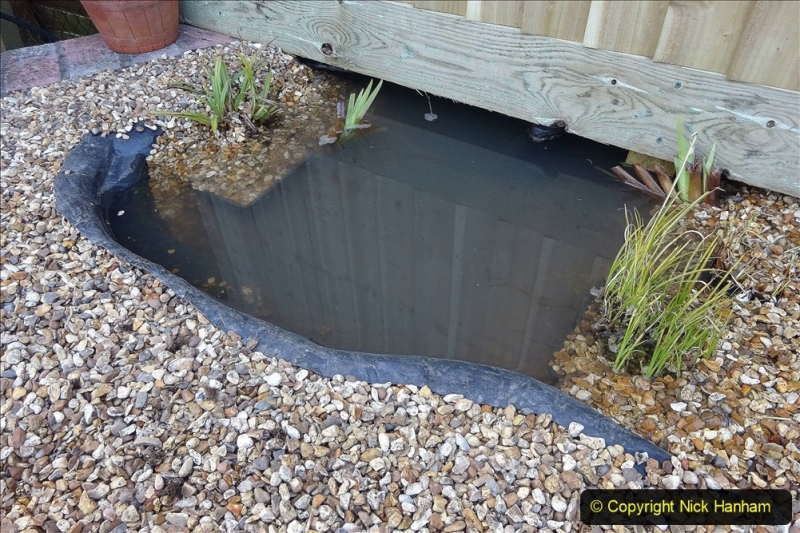 2021-03-07 New pond for rear garden. Garden makeover. (95) 095