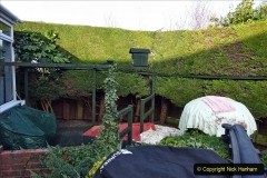 2021-03-01 Lowering hedge. Garden makeover. (37) 037