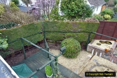 2021-03-01 Lowering hedge. Garden makeover. (47) 047
