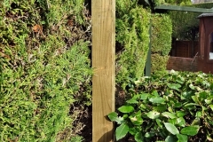 2021-03-03 Post for new fence. Garden makeover. (56) 056
