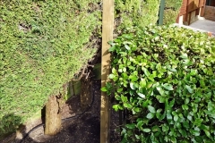 2021-03-03 Post for new fence. Garden makeover. (57) 057