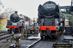 2019-10-11 Six Locomotives for the SR Autumn Steam Gala. (10) 010