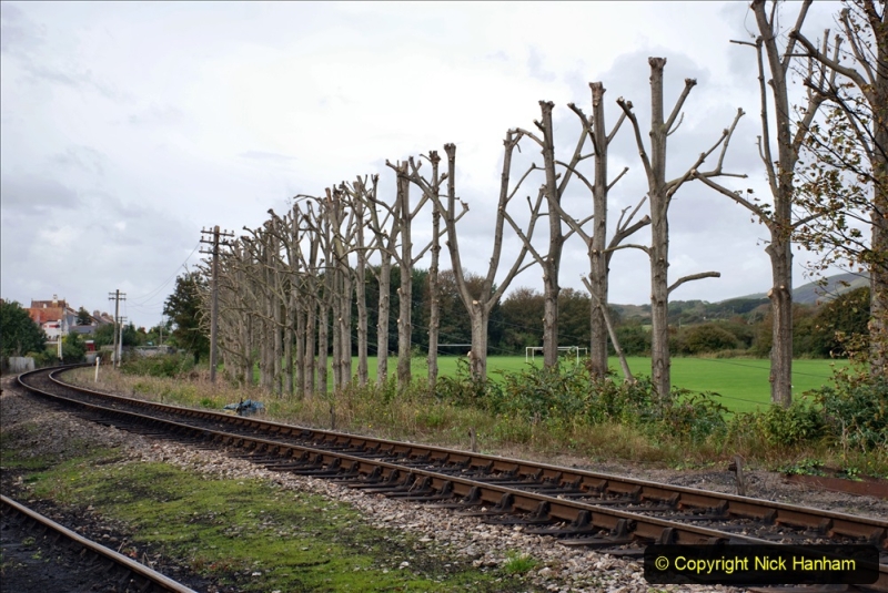 2019-10-09 Corfe Castle - Swanage - Norden. (45) Pollarded trees at King George Field.45