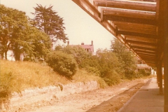 1973 The Swanage Railway.  Swanage. (11)0011