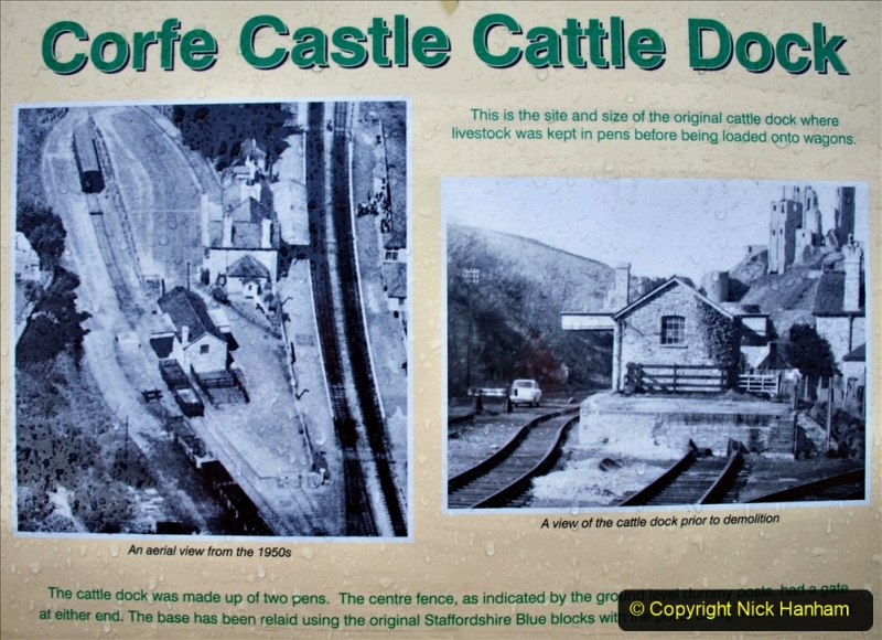 2020-01-17 Track renewal Cowpat Crossing to just past Dickers Crossing. (5) Corfe Castle. 5