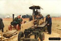 022.GDSF-1994.-22-