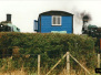 GDSF 1998