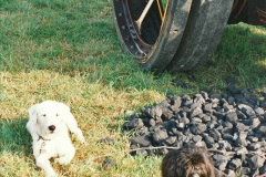 029.GDSF-2001-29-.-