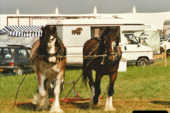 147.GDSF-2001-147-.-