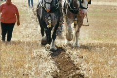 147.GDSF-2002.-147-