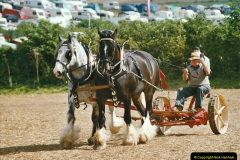 172.GDSF-2004.-172-