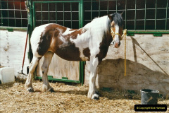 173.GDSF-2004.-173-