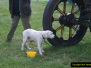 GDSF 2006