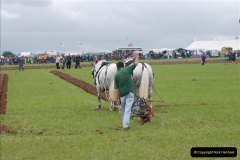 211.GDSF-2008.-211-