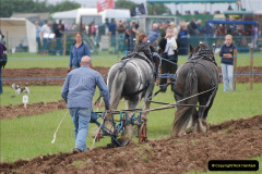 212.GDSF-2008.-212-