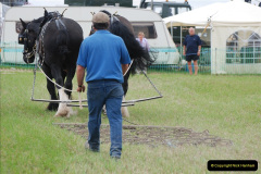 537.GDSF-2008.-537-