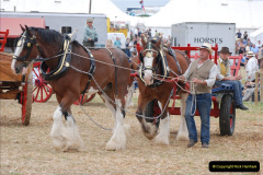 552.GDSF-2008.-552-