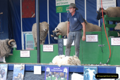 555.GDSF-2008.-555-