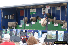 556.GDSF-2008.-556-