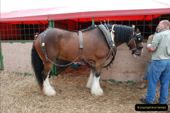 133.GDSF-2009.-133-