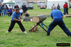 146.GDSF-2009.-146-