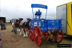 389.GDSF-2009.-389-