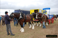 390.GDSF-2009.-390-