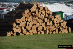 102.GDSF-2010.-102-