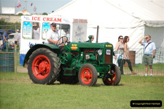 313.GDSF-2010.-313-