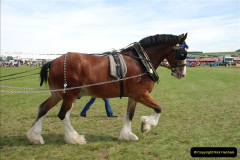350.GDSF-2010.-350-