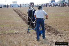 359.GDSF-2010.-359-