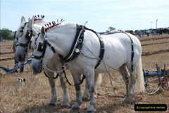 361.GDSF-2010.-361-