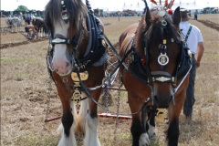 364.GDSF-2010.-364-