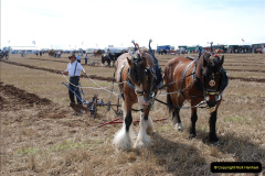 368.GDSF-2010.-368-