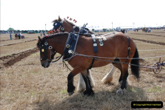 369.GDSF-2010.-369-